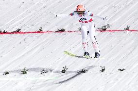 Ski Jumping World Cup in Wisla - Day 2