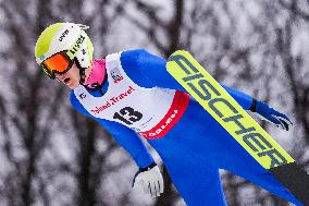 Ski Jumping World Cup in Wisla - Day 2