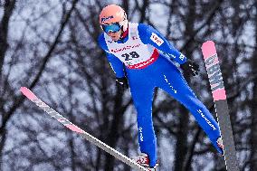 Ski Jumping World Cup in Wisla - Day 2