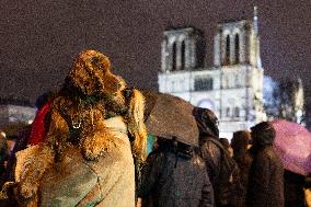 Crowds during Notre-Dame Cathedral re-opening ceremony - Paris