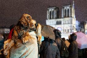 Crowds during Notre-Dame Cathedral re-opening ceremony - Paris