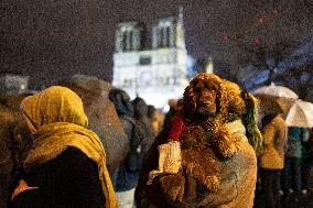 Crowds during Notre-Dame Cathedral re-opening ceremony - Paris