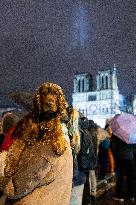 Crowds during Notre-Dame Cathedral re-opening ceremony - Paris