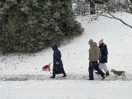 Daily Life During Winter In Toronto, Canada