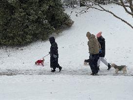 Daily Life During Winter In Toronto, Canada