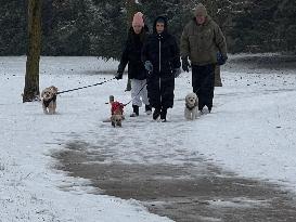 Daily Life During Winter In Toronto, Canada