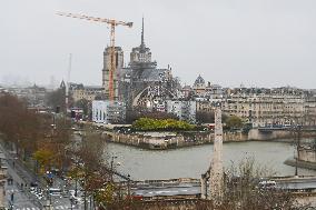 Atmosphere During First Mass For The Public Notre-Dame Cathedral - Paris