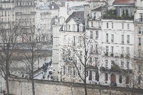 Atmosphere During First Mass For The Public Notre-Dame Cathedral - Paris