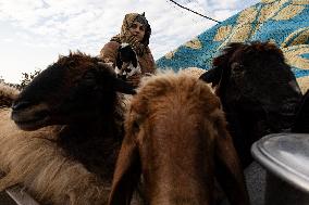 Displaced People Returned To Tal Rifaat - Syria