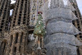 Sagrada Familia Cathedral, Barcelona, Spain