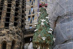 Sagrada Familia Cathedral, Barcelona, Spain