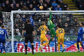 Leicester City FC v Brighton & Hove Albion FC - Premier League