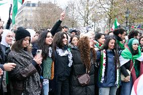 Paris, Syrian Freedom Celebration