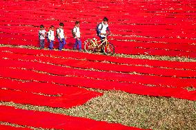 Red Cloth Production In Bangladesh