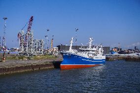 Daily Life In Esbjerg - Denmark