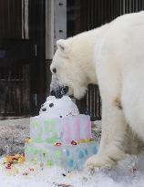 Polar bear at western Japan zoo