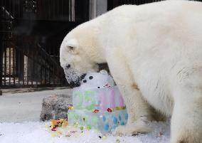 Polar bear at western Japan zoo