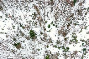 Snow Covered Mavrovo National Park - North Macedonia