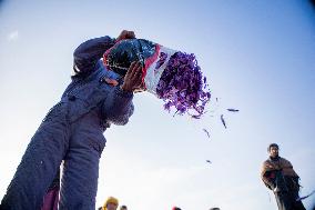 Saffron Harvest - Afghanistan