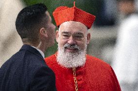 Pope Francis Presides A Mass With The New Cardinals - Vatican