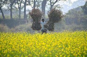 Daily Life In India