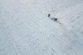 Ice Collection Season Starts - China