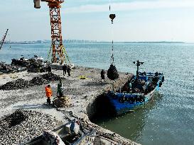 Oyster Harvest