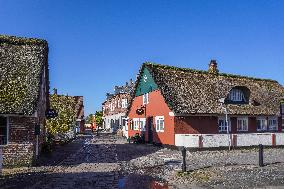 Daily Life In Nordby, Denmark