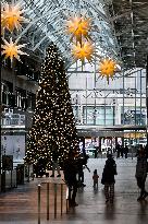 Large Christmas Tree In Toronto, Canada