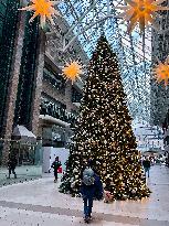 Large Christmas Tree In Toronto, Canada