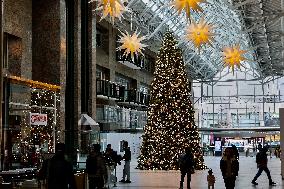 Large Christmas Tree In Toronto, Canada