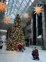 Large Christmas Tree In Toronto, Canada