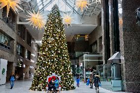 Large Christmas Tree In Toronto, Canada