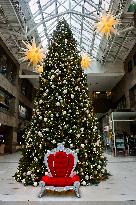 Large Christmas Tree In Toronto, Canada