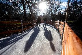 People Ice Skate In Sofia.