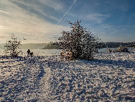 Out For A Walk At The Lakes Osterseen In Winter