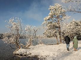 Out For A Walk At The Lakes Osterseen In Winter