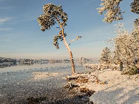 Out For A Walk At The Lakes Osterseen In Winter