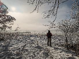 Out For A Walk At The Lakes Osterseen In Winter