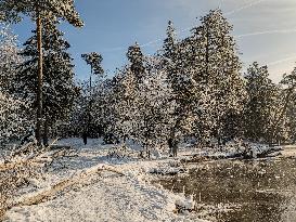 Out For A Walk At The Lakes Osterseen In Winter