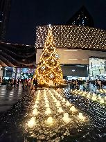 Christmas Tree in Chongqing