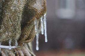 Freezing Rain Results In Surfaces Being Coated With A Sheet Of Ice In Toronto, Canada