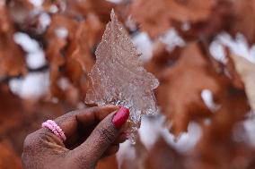 Freezing Rain Results In Surfaces Being Coated With A Sheet Of Ice In Toronto, Canada