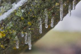 Freezing Rain Results In Surfaces Being Coated With A Sheet Of Ice In Toronto, Canada