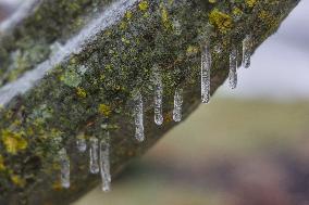 Freezing Rain Results In Surfaces Being Coated With A Sheet Of Ice In Toronto, Canada