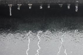 Freezing Rain Results In Surfaces Being Coated With A Sheet Of Ice In Toronto, Canada