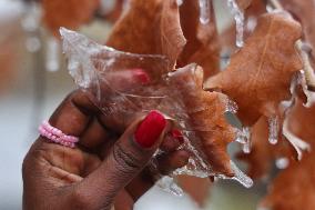 Freezing Rain Results In Surfaces Being Coated With A Sheet Of Ice In Toronto, Canada