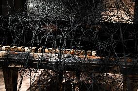 The Soul Trembles: Chiharu Shiota's Reopening Exhibition - Paris