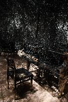 The Soul Trembles: Chiharu Shiota's Reopening Exhibition - Paris