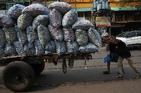 Protest In Kolkata